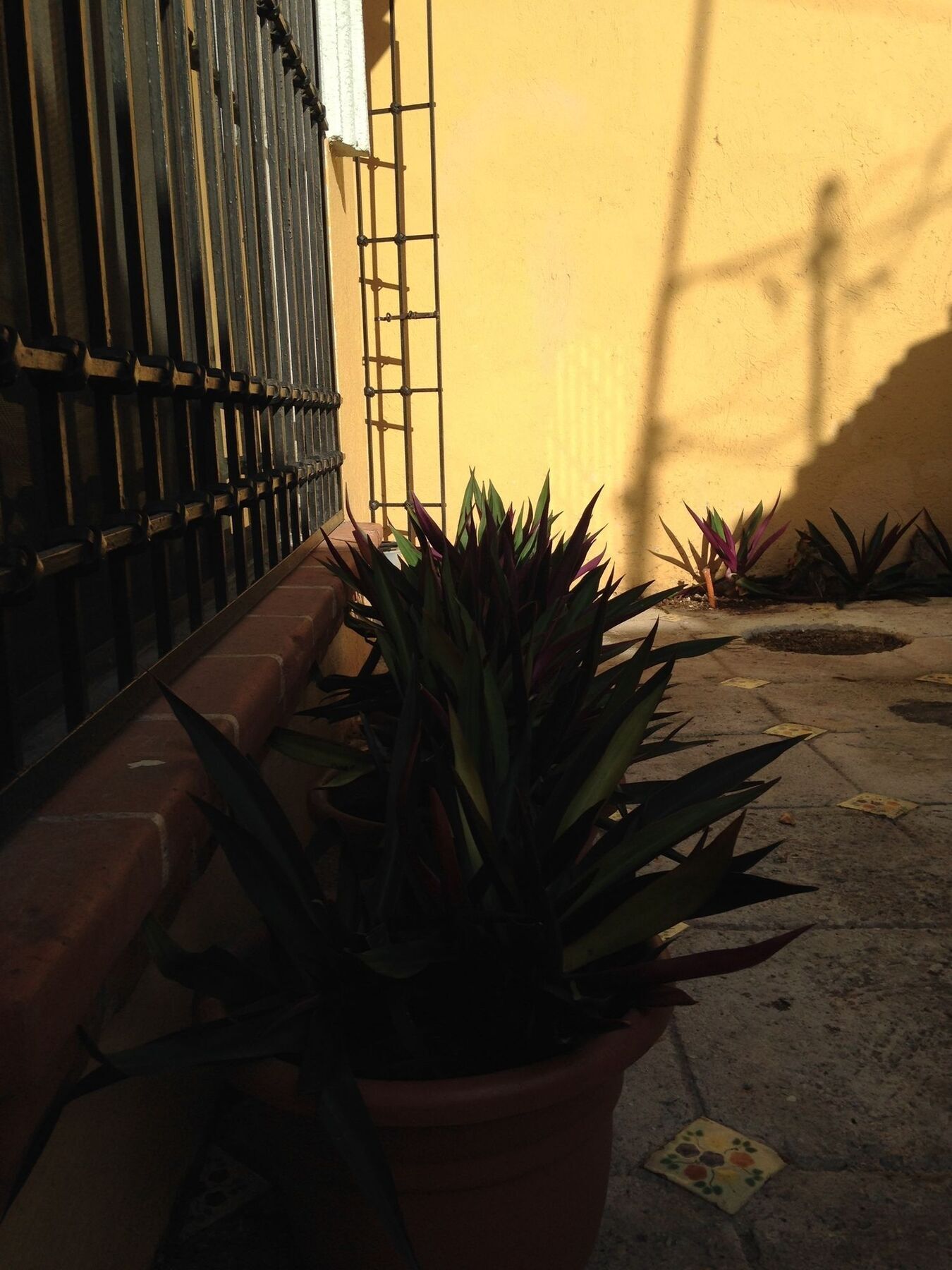Hostel Kaana 4 You Cancun Exterior photo